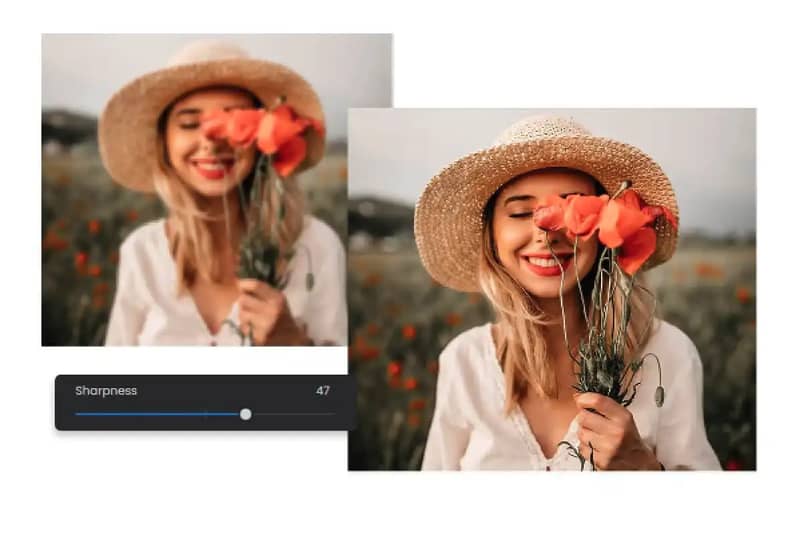 Image showing the image translator interface