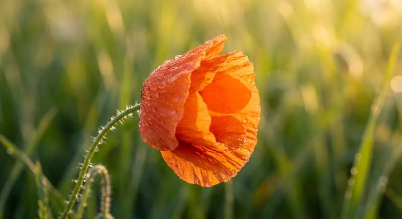 Creative photography with artistic blur effects showing a colorful abstract composition