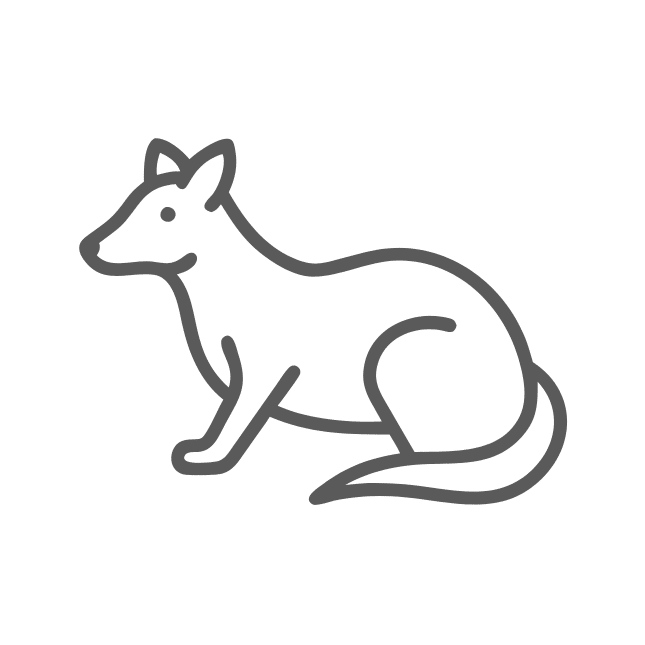 animal icon